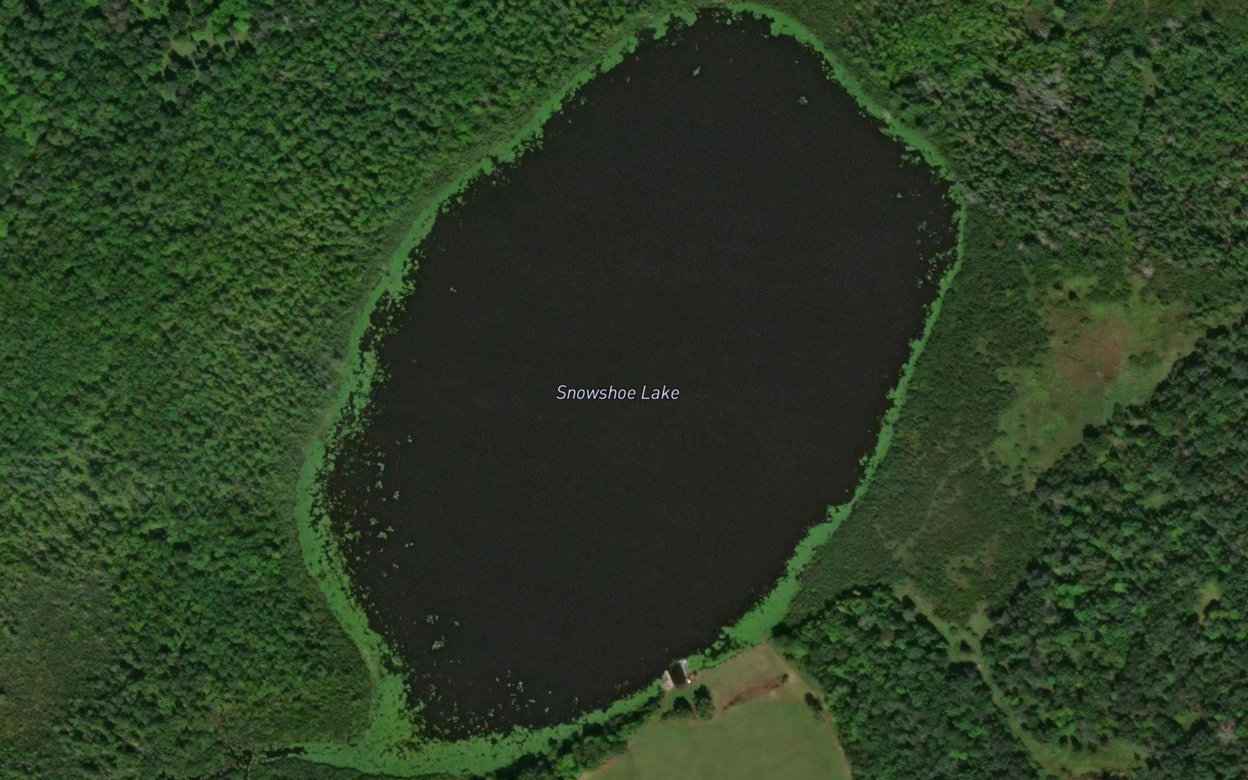 Snowshoe Lake