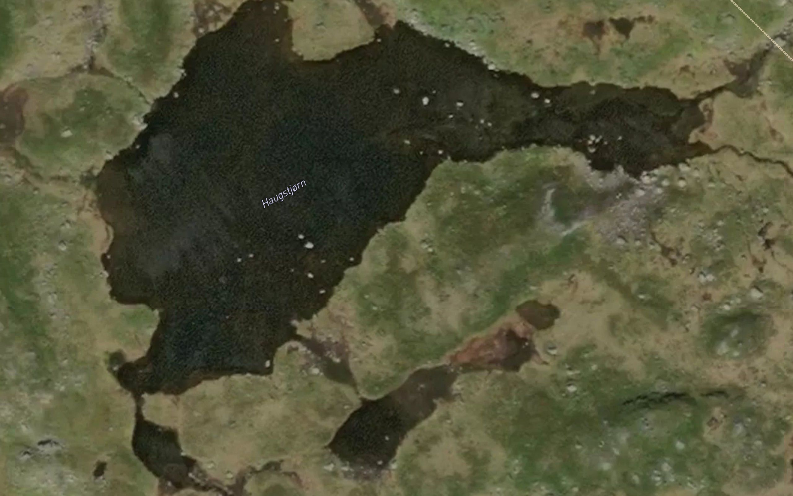 Haugstjorn