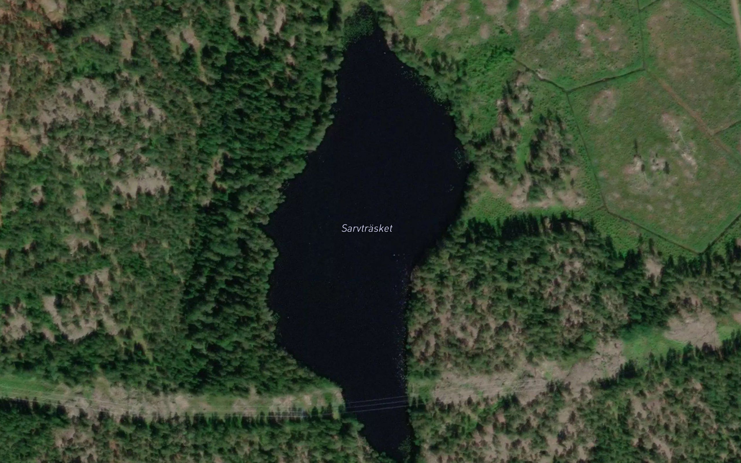 Sarvtrasket