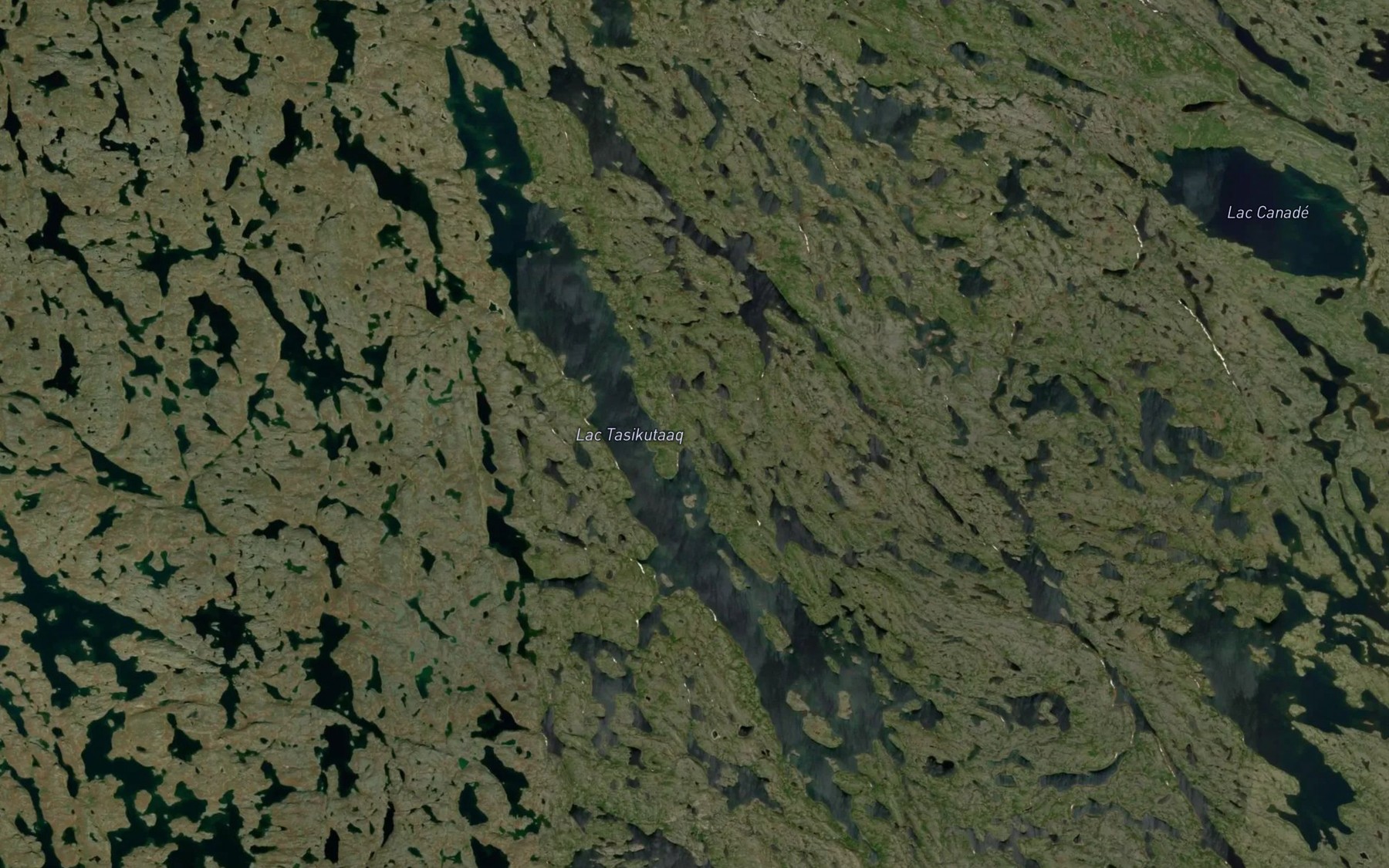 Satellite map of the Lac Tasikutaaq
