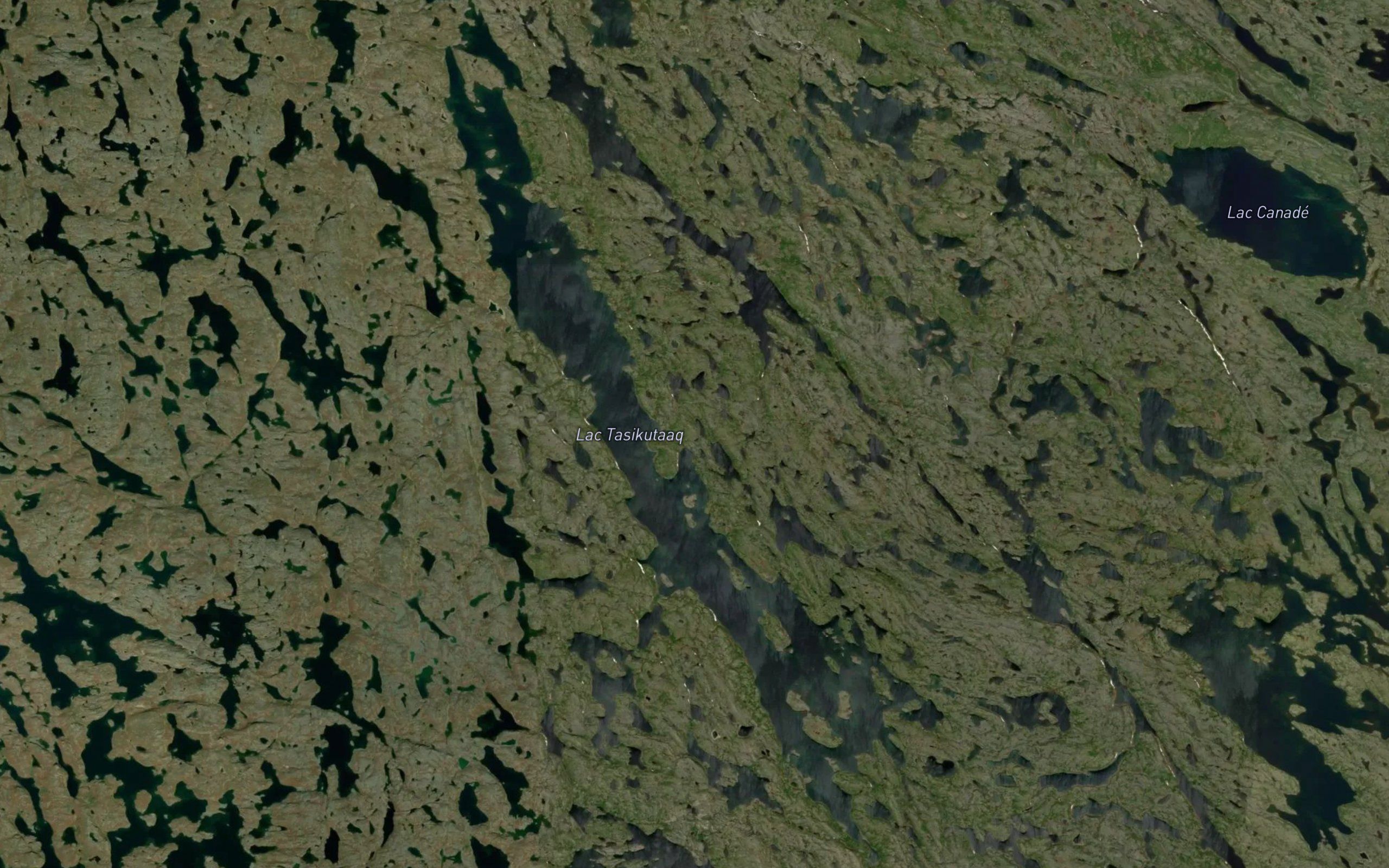 Lac Tasikutaaq