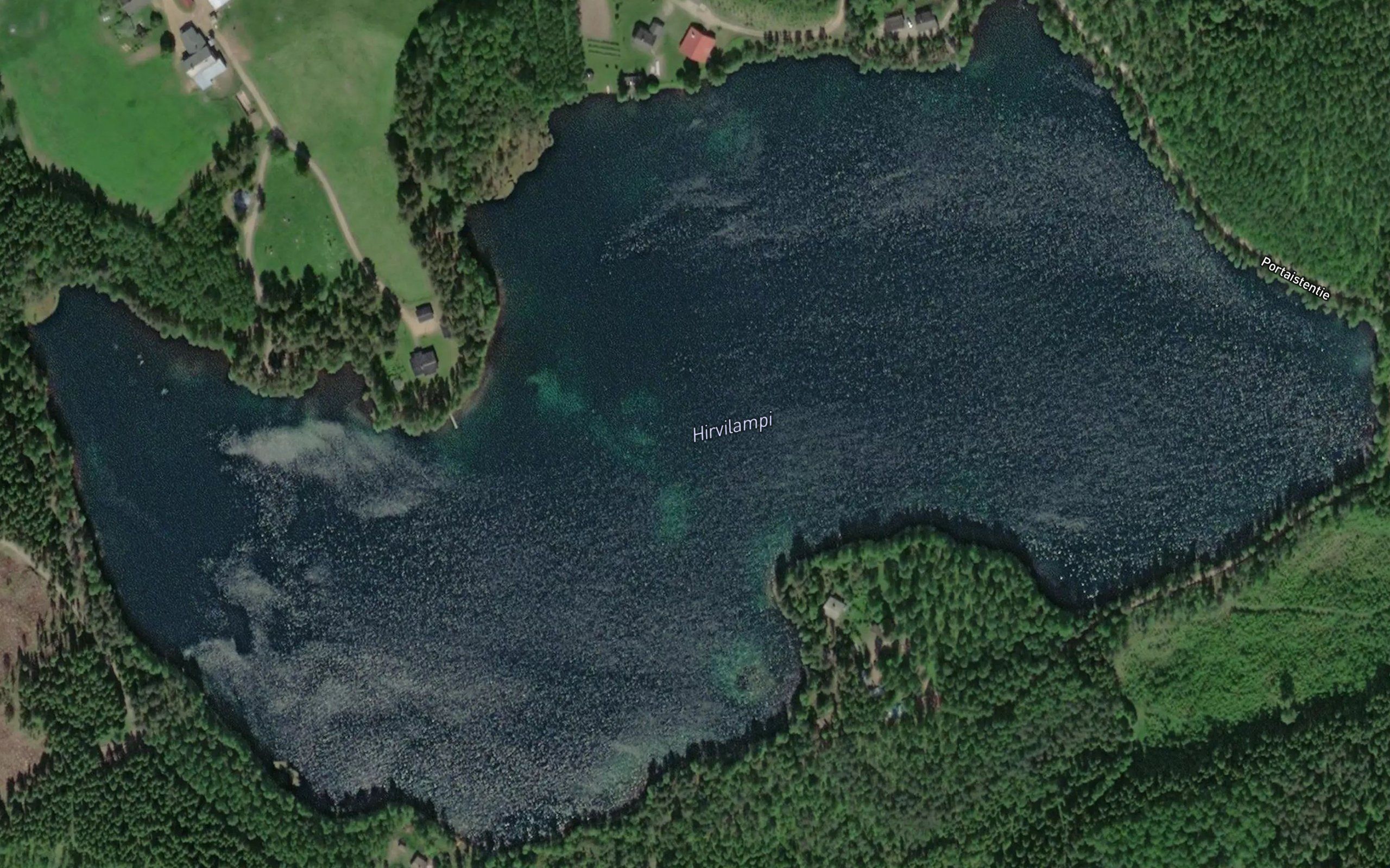 Hirvilampi