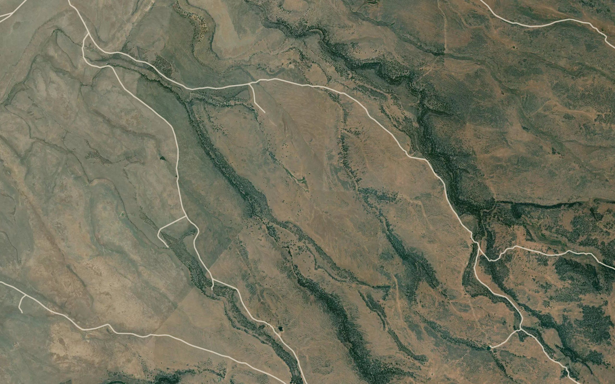 Webb Spring