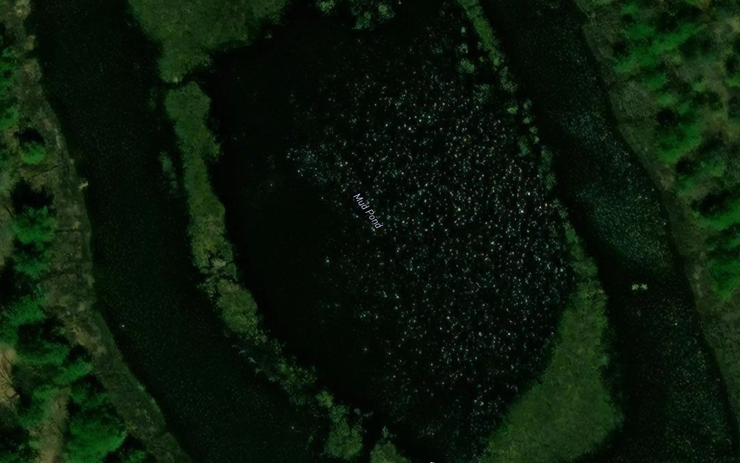 Mud Pond