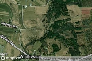 Voneida Run