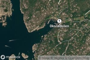Oksrodkilen
