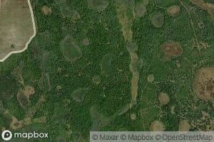 W H Peeples Pond Three