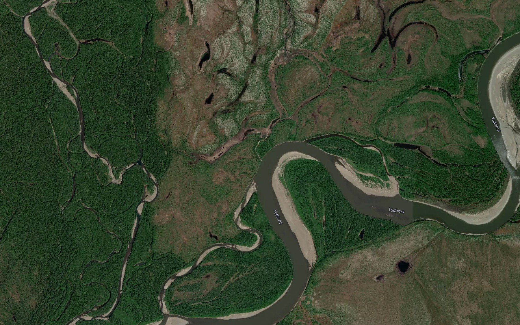 Satellite map of the Bolotnyy