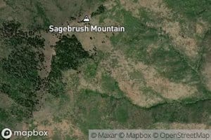 Sagebrush Spring