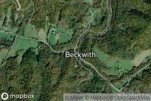 Jenkins Branch