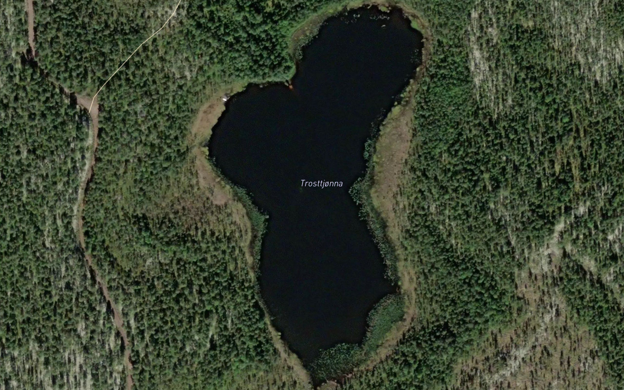 Trasttjornan