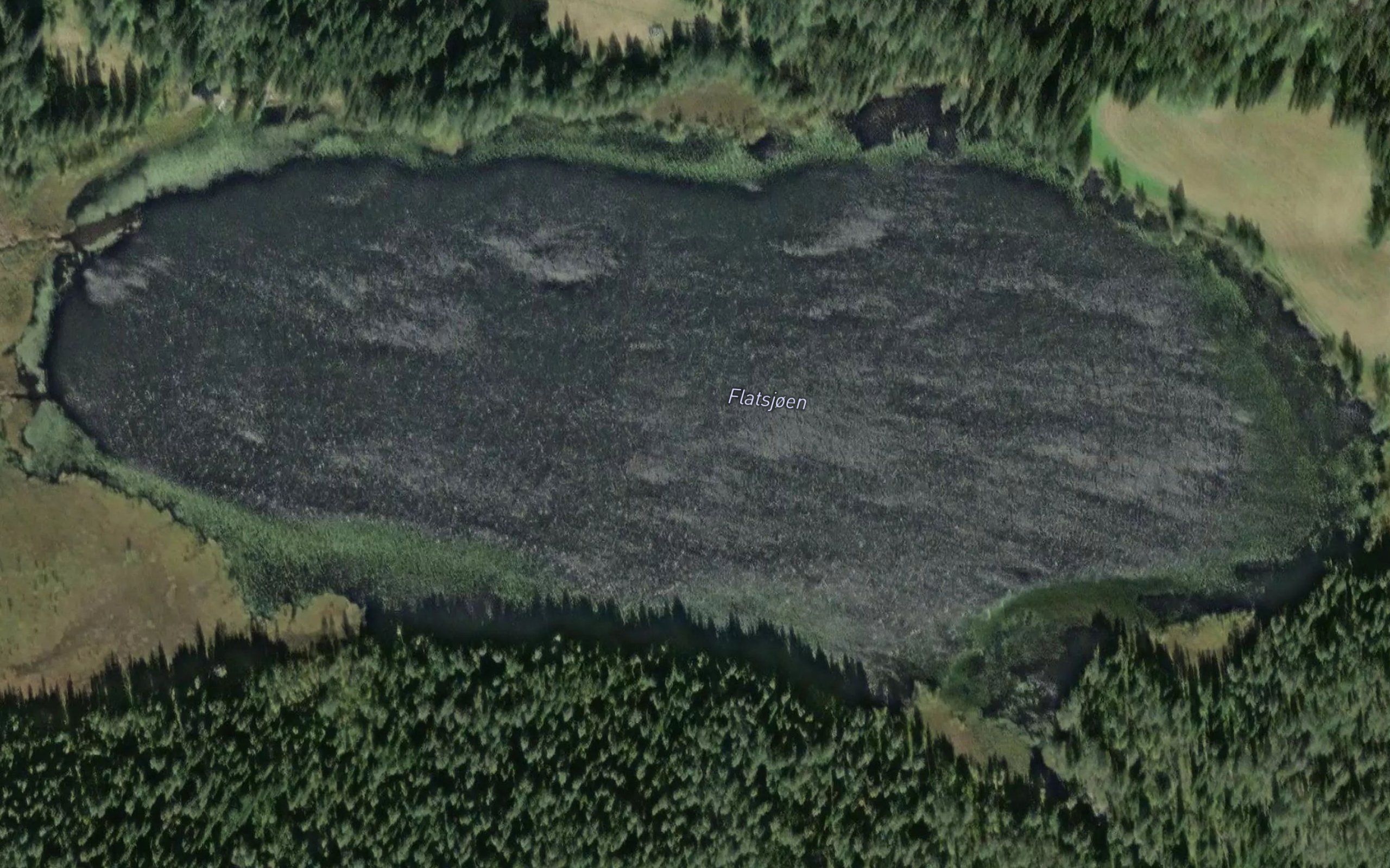 Flatsjoen