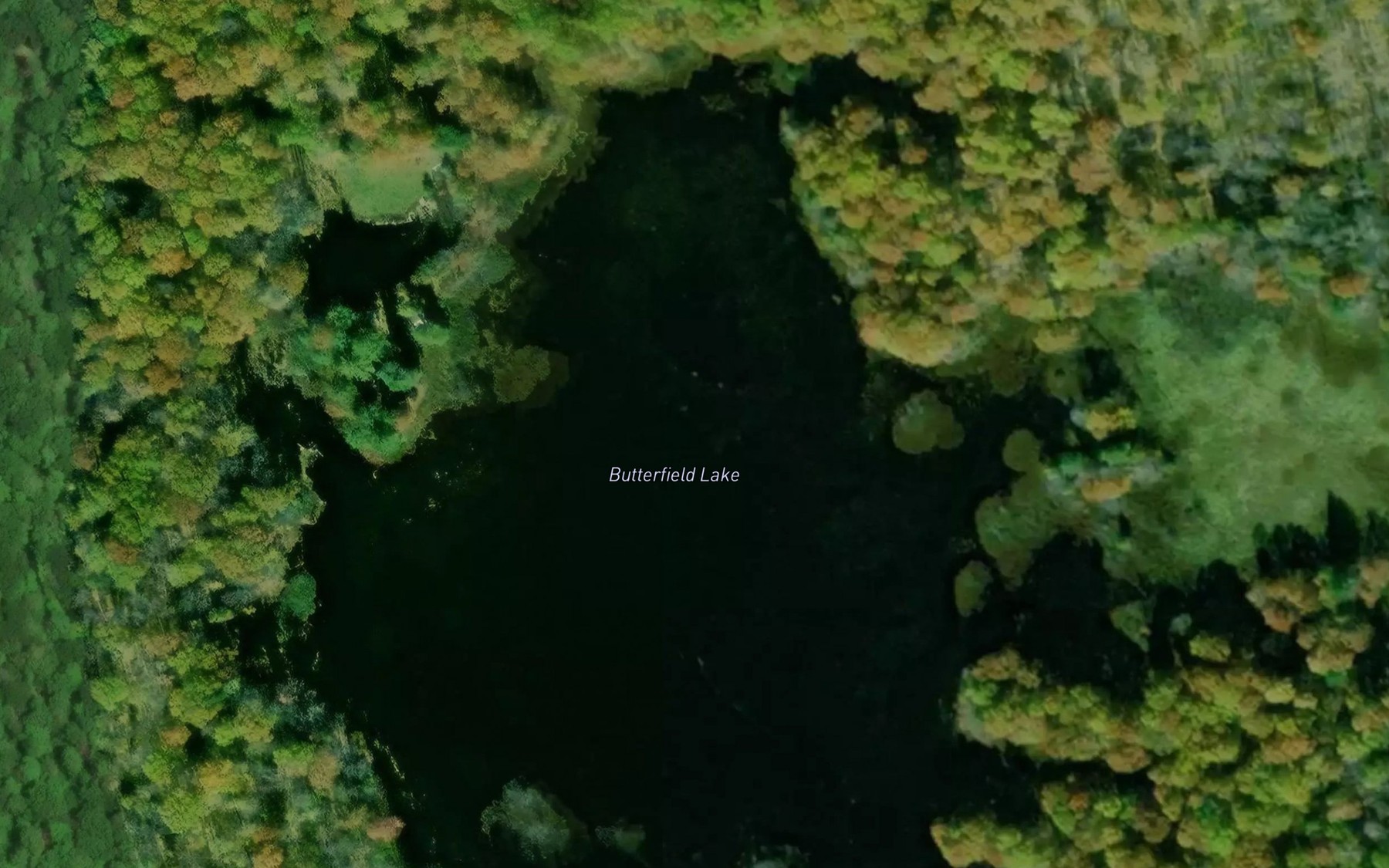 Satellite map of the Butterfield Lake