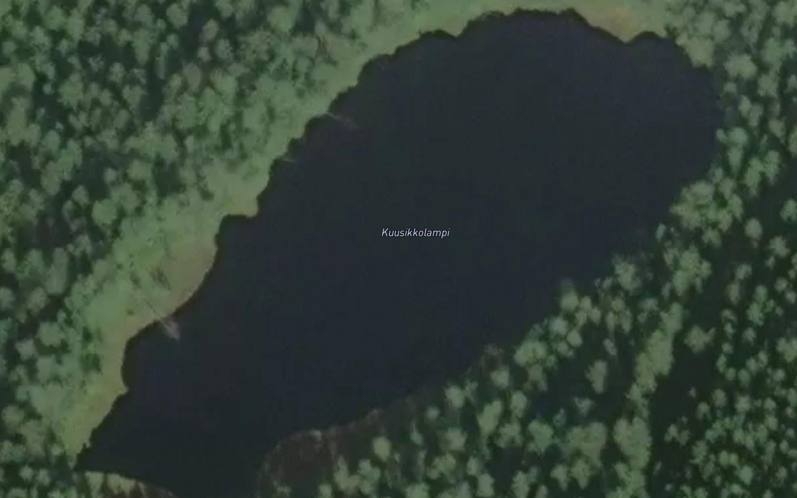 Kuusikkolampi
