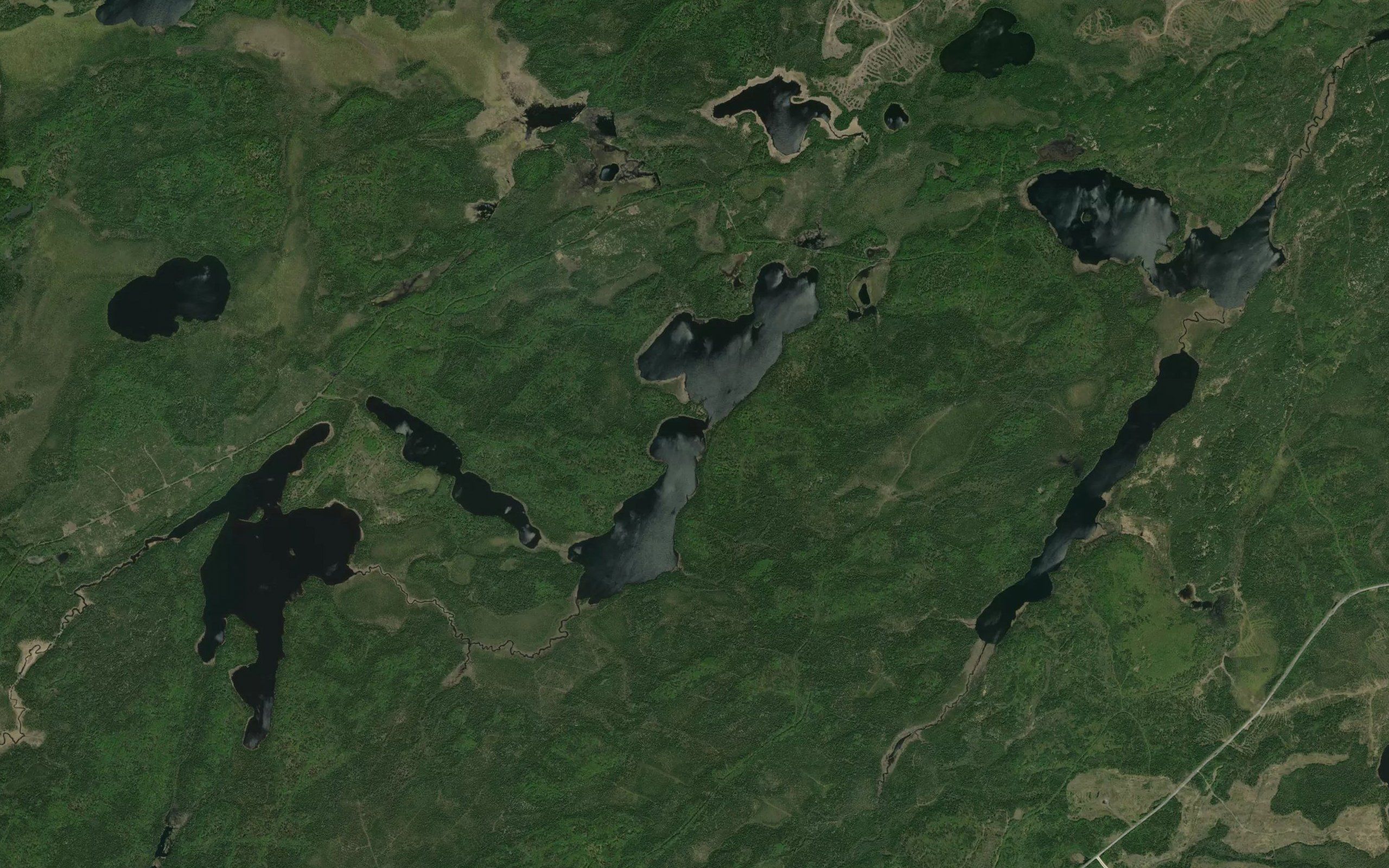 Tribble Lake