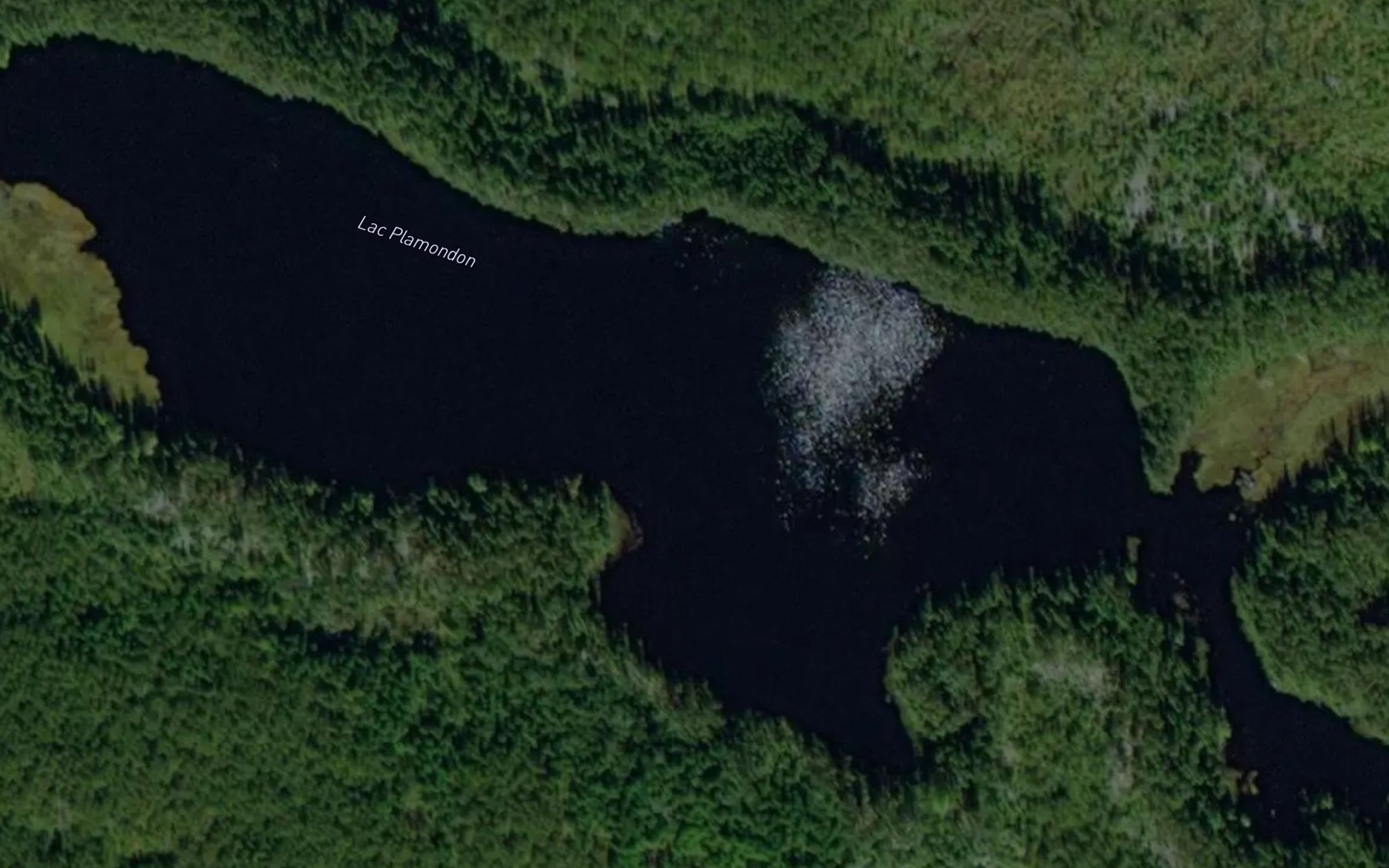 Satellite map of the Lac Plamondon