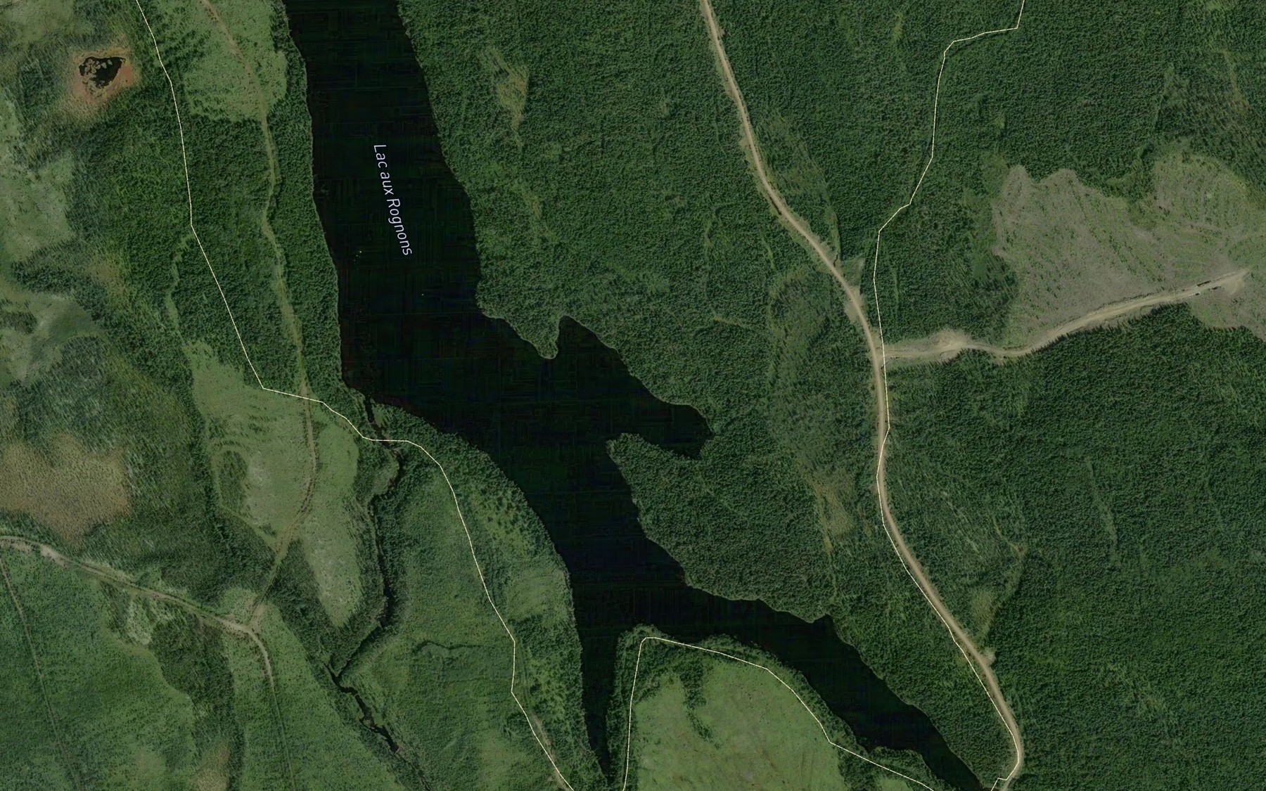 Satellite map of the Lac aux Rognons