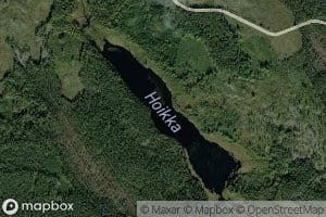 Hoikka