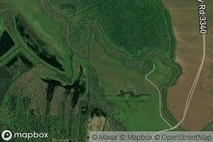 Pecan Springs