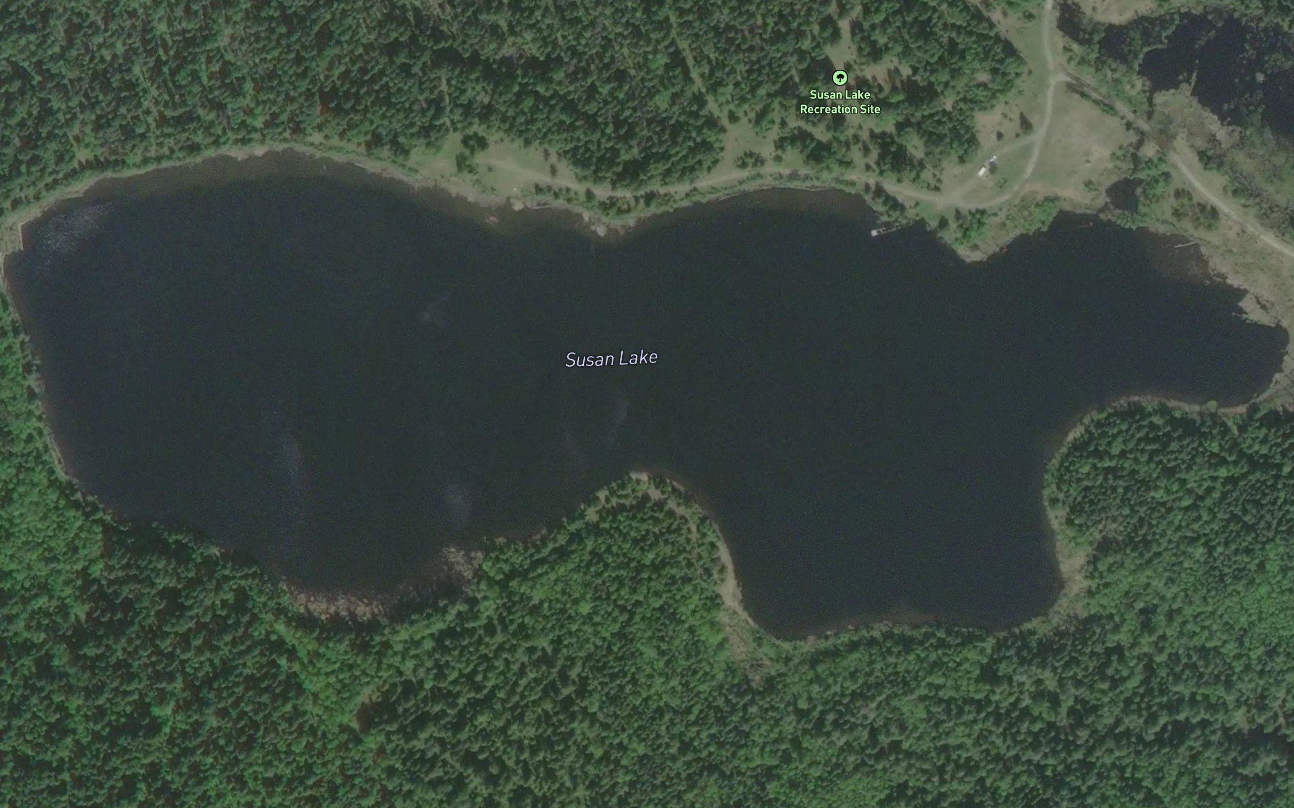 Susan Lake