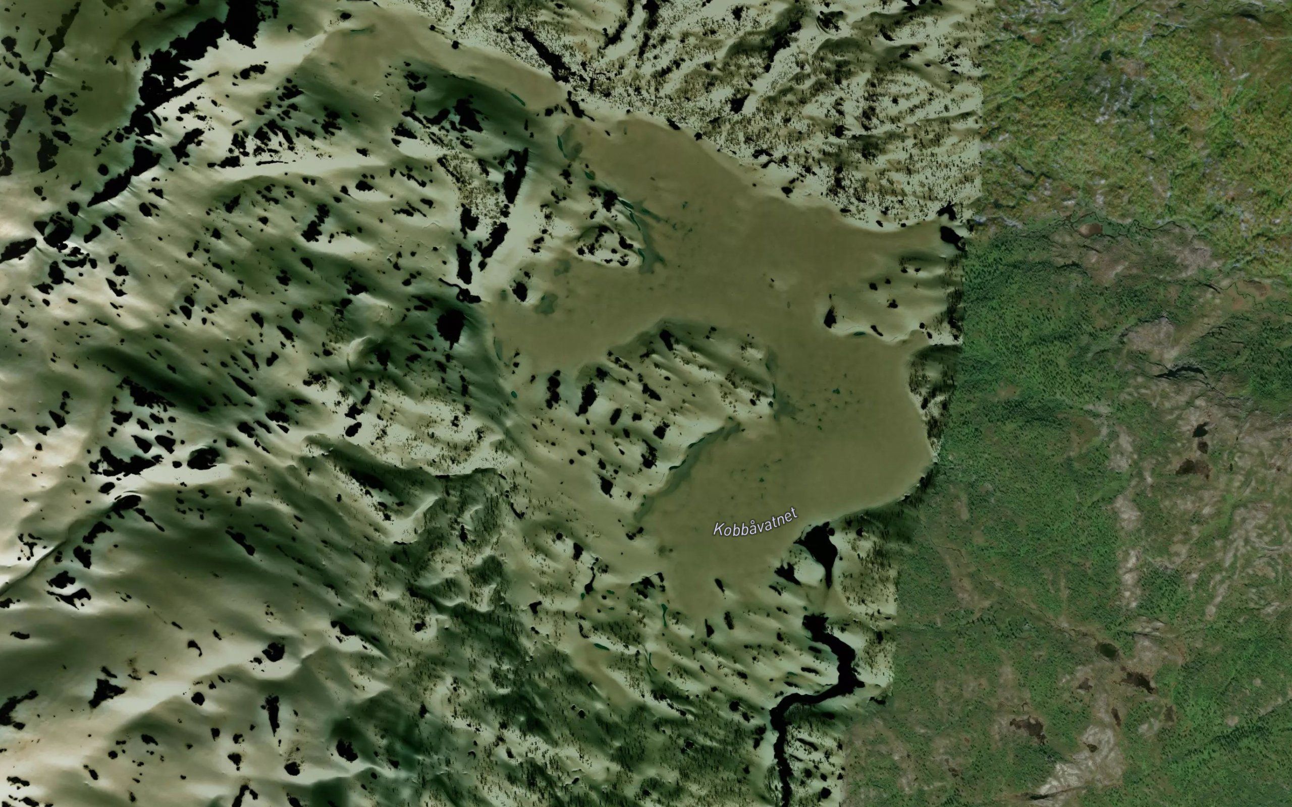 Kobbavatnet