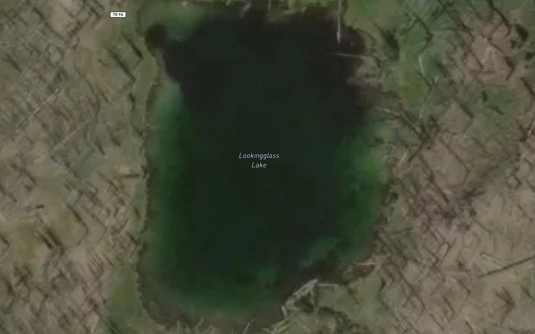 Satellite map of the Lookingglass Lake