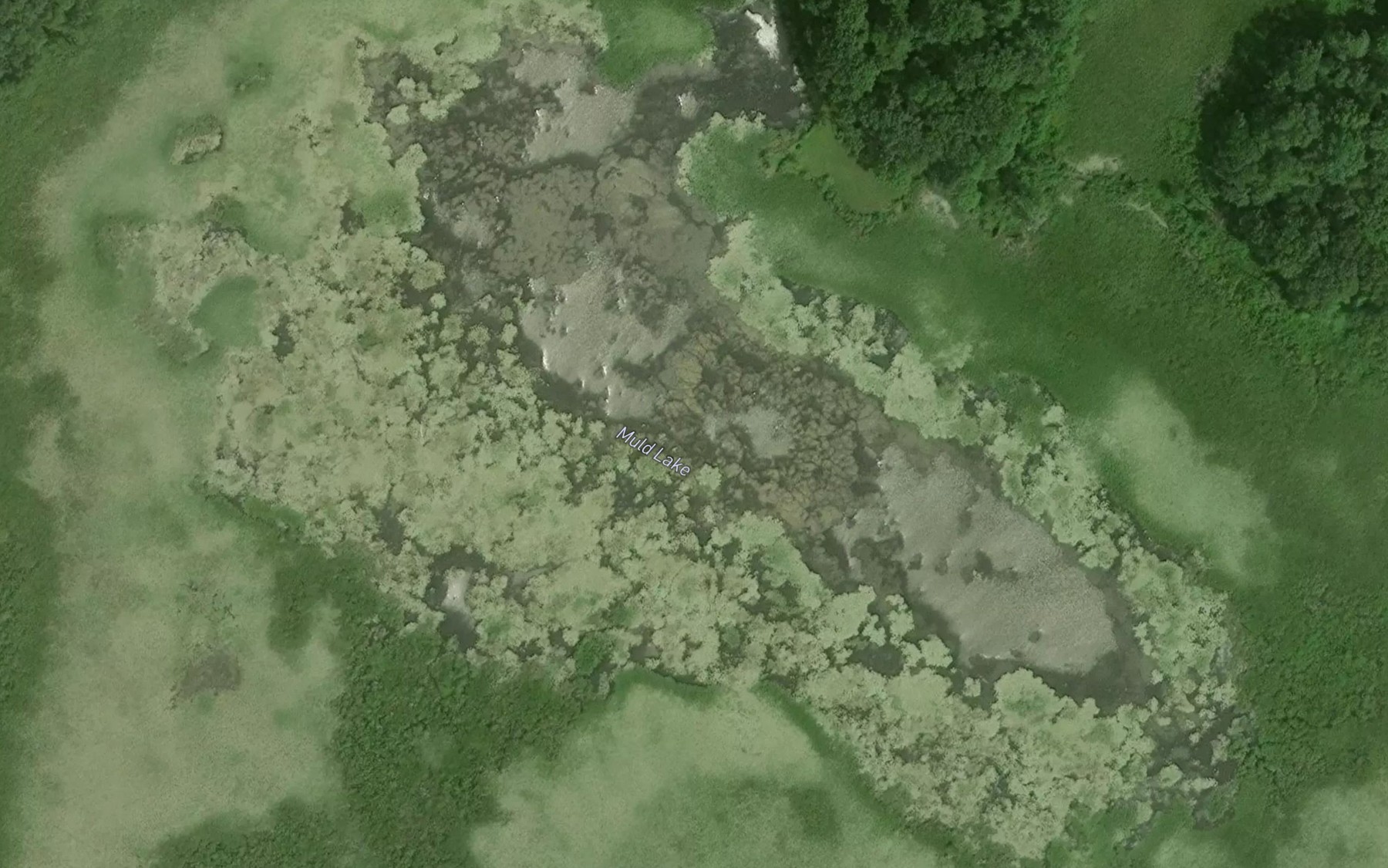Satellite map of the Muld Lake