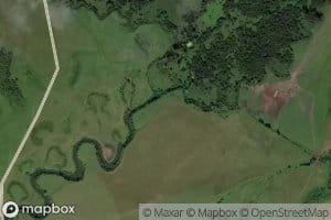 Umangora
