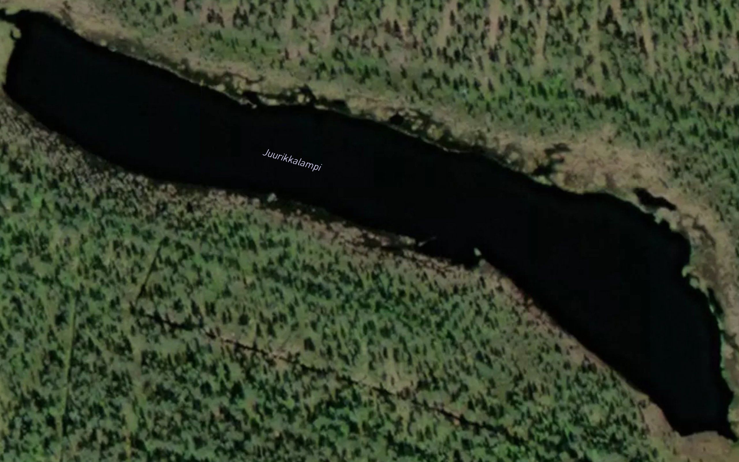 Juurikkalampi