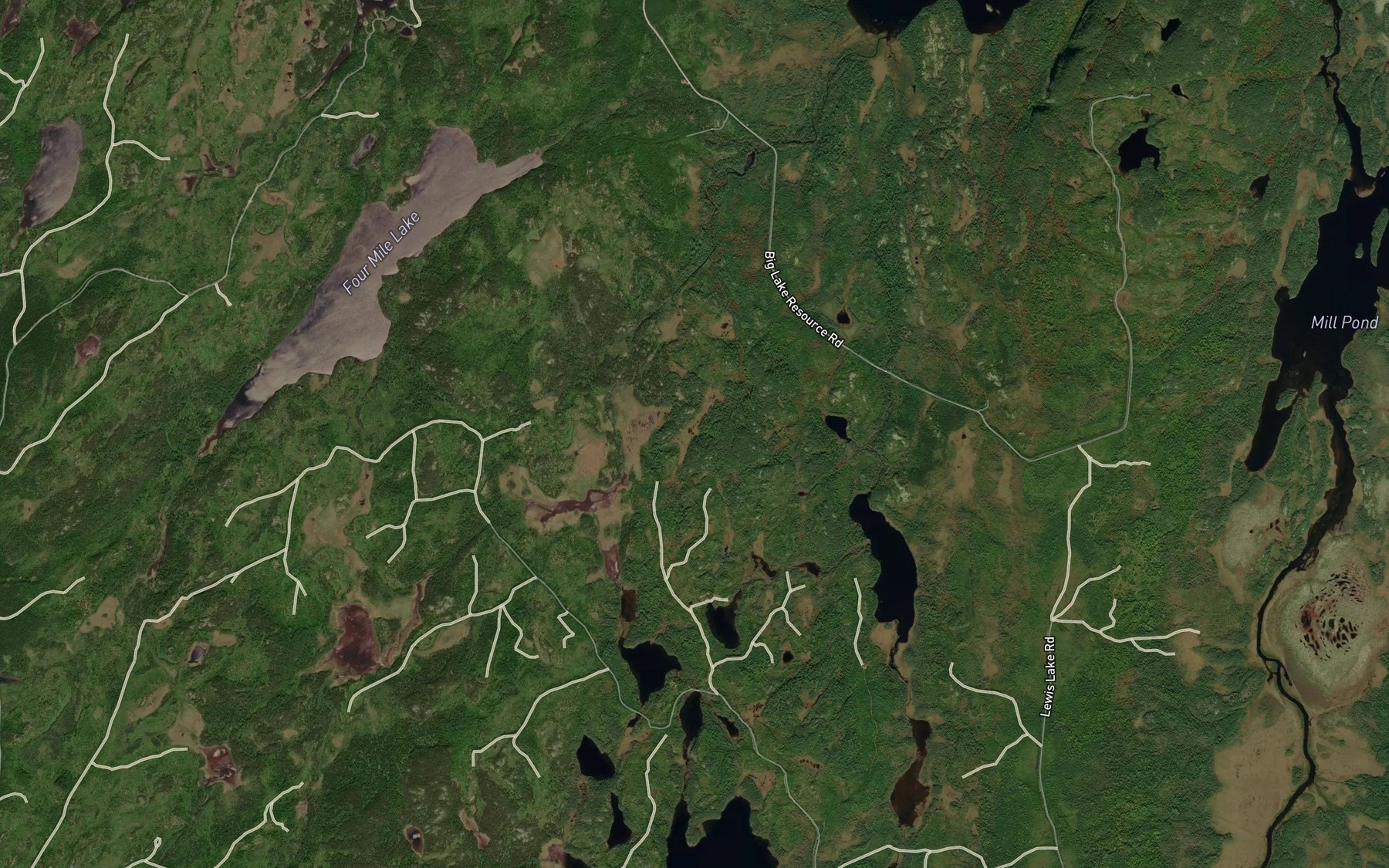 Satellite map of the Bog Dam Pond