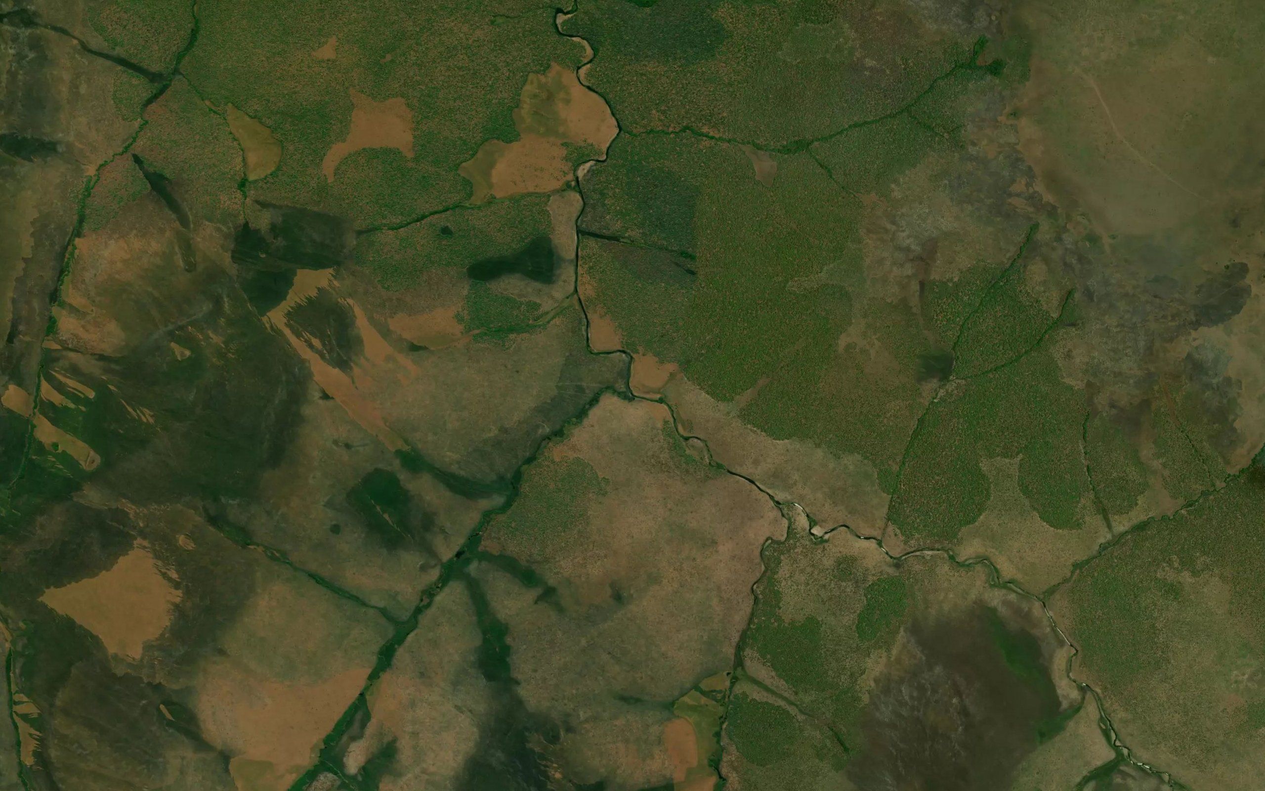 Kamwela