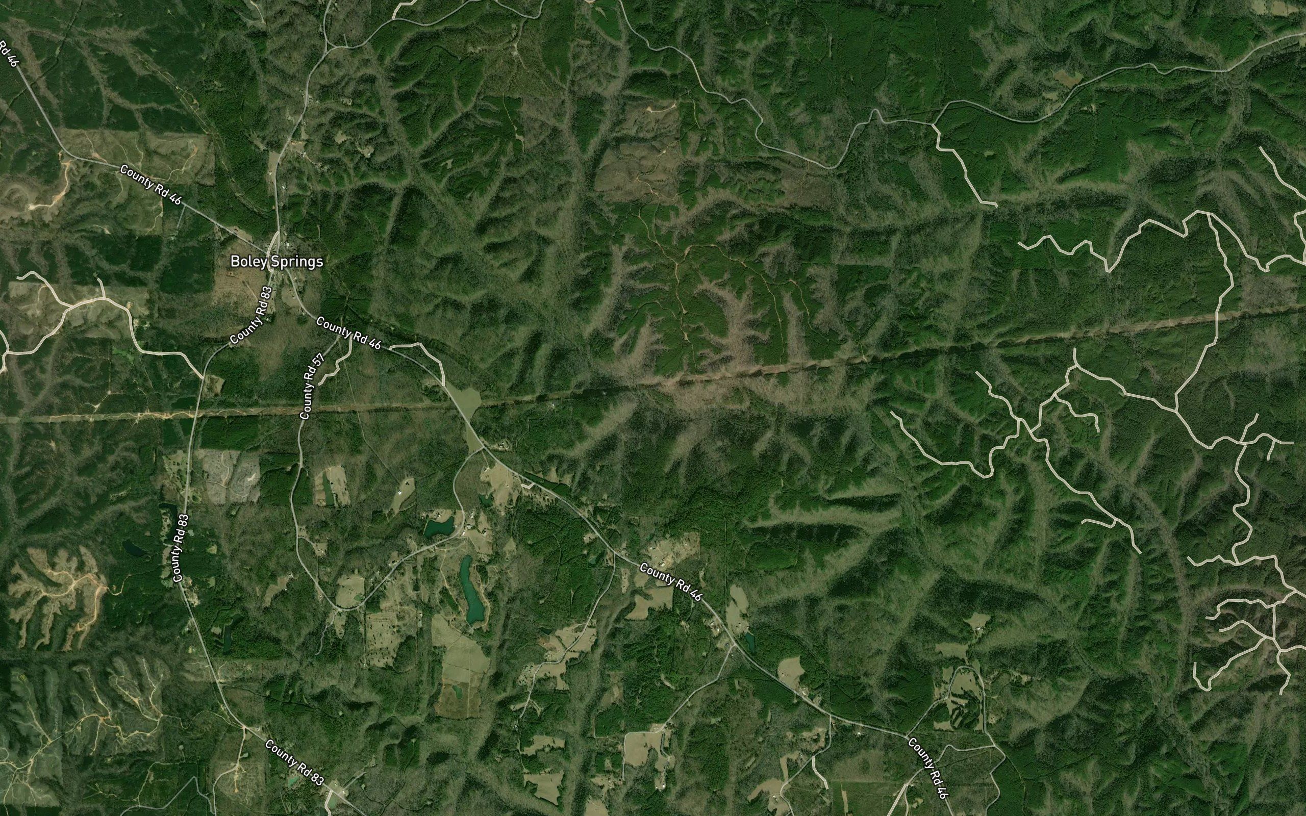 Dickey Branch