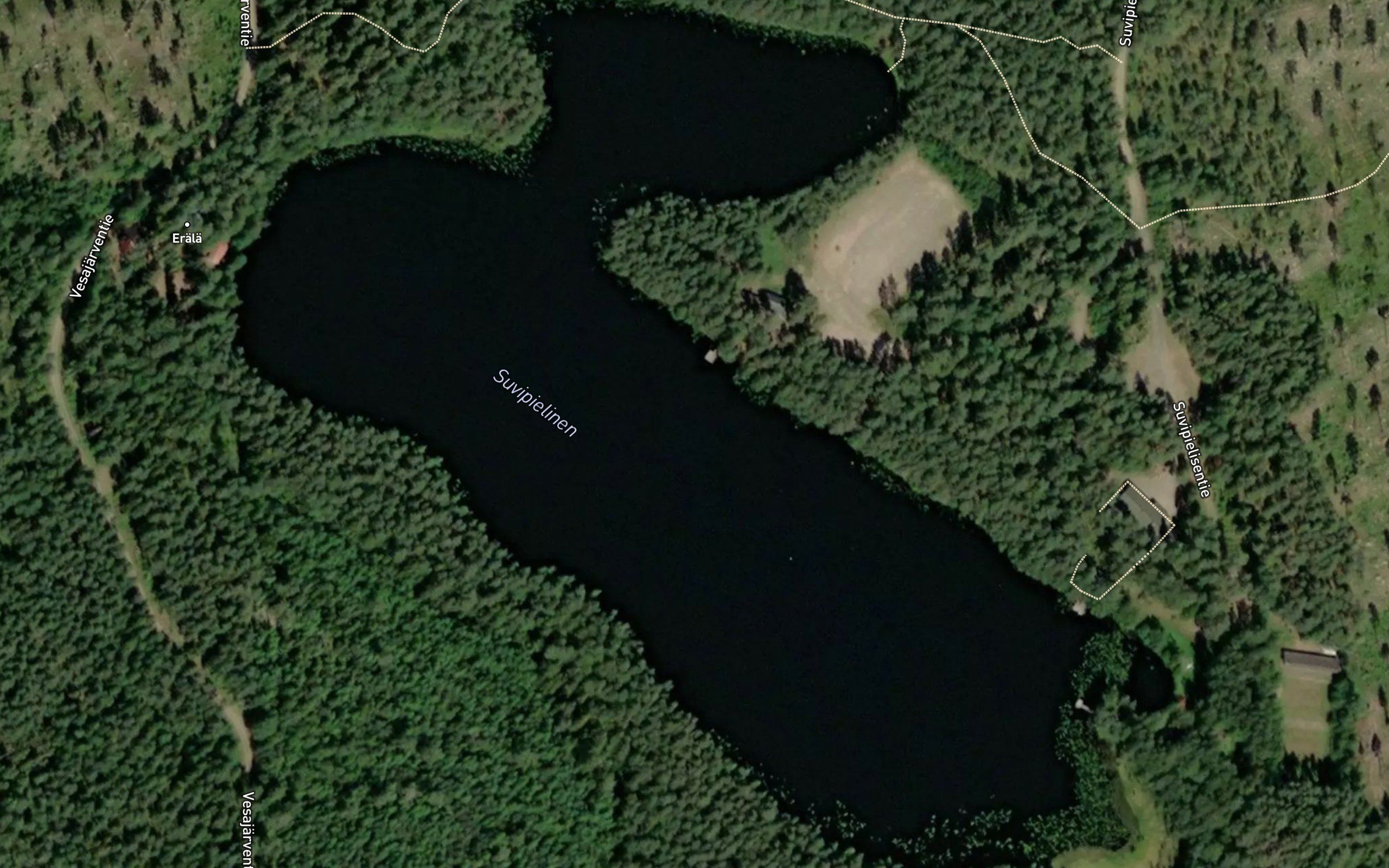 Suvitiellinen