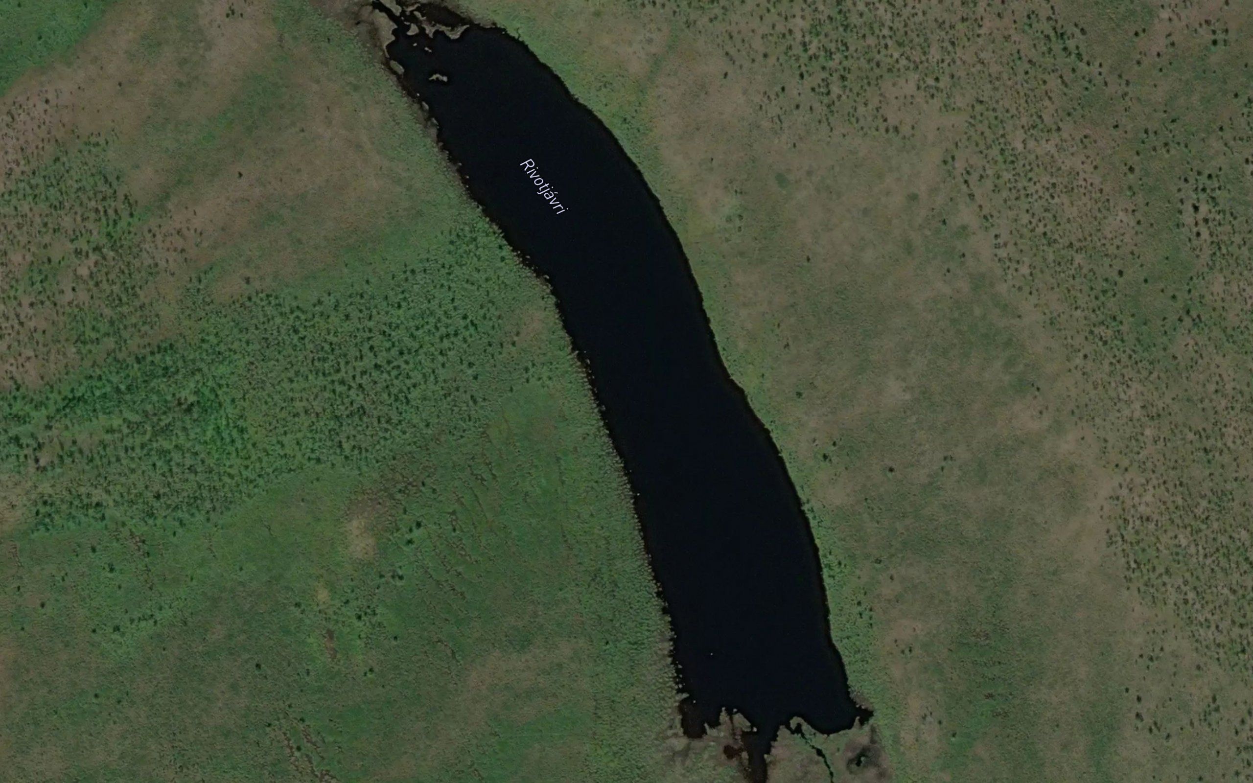 Rivutjavri