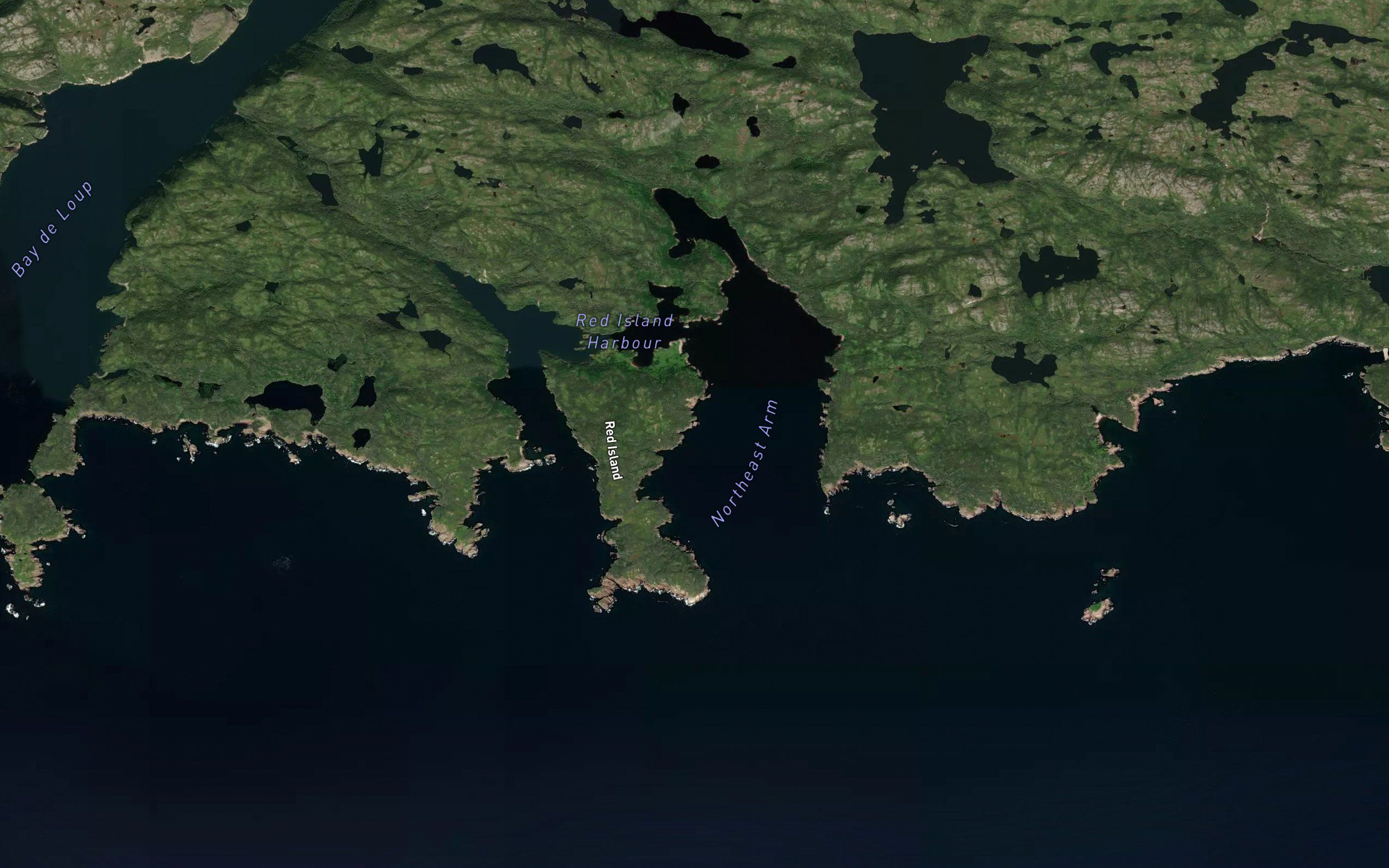 Northeast Arm