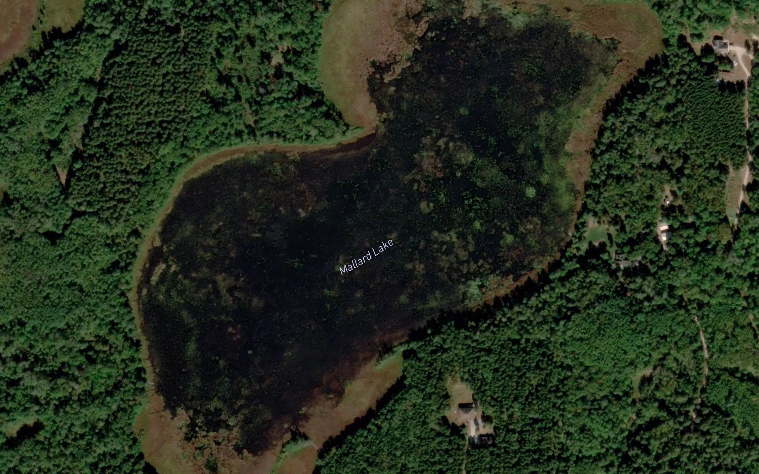Mallard Lake