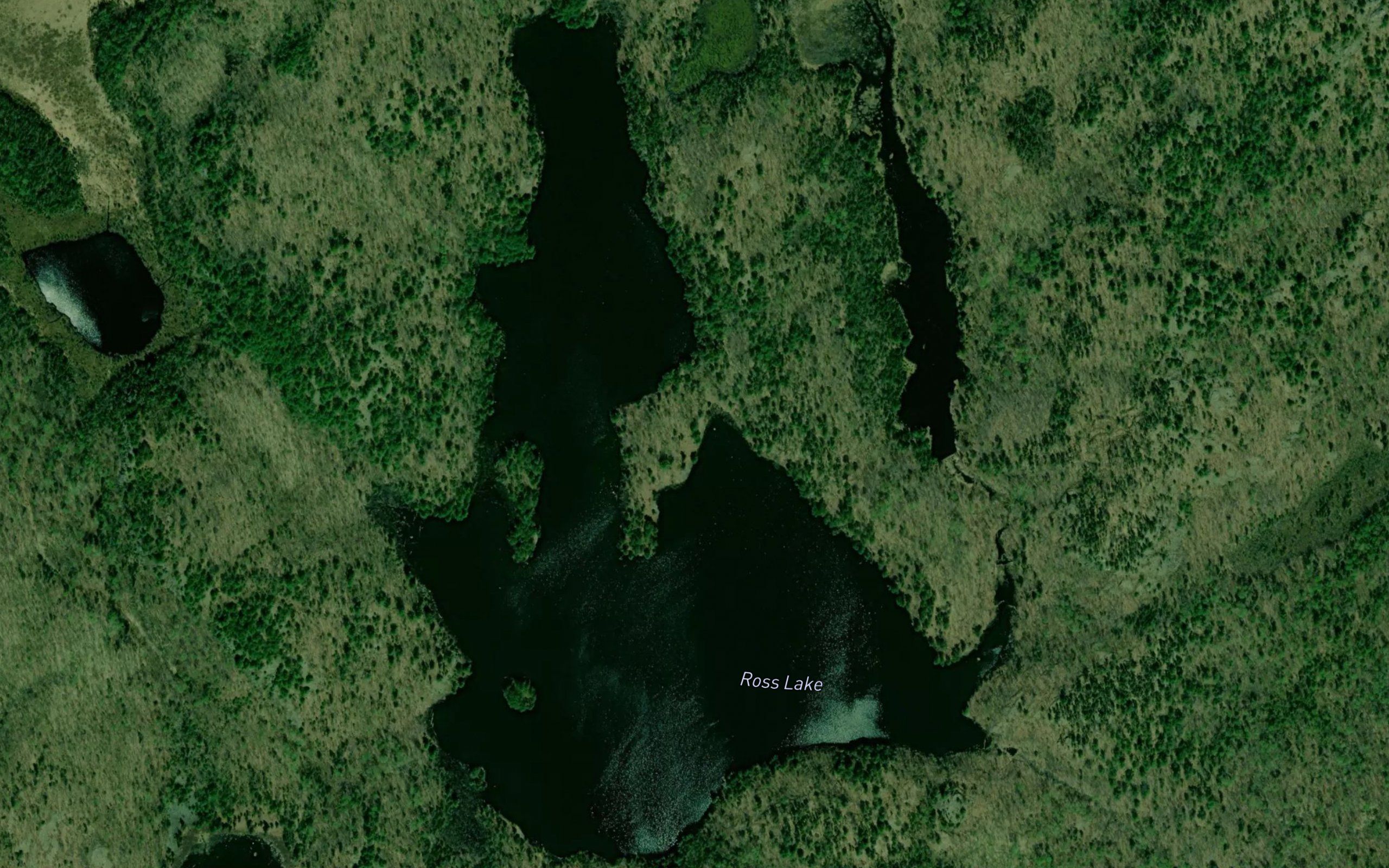 Ross Lake