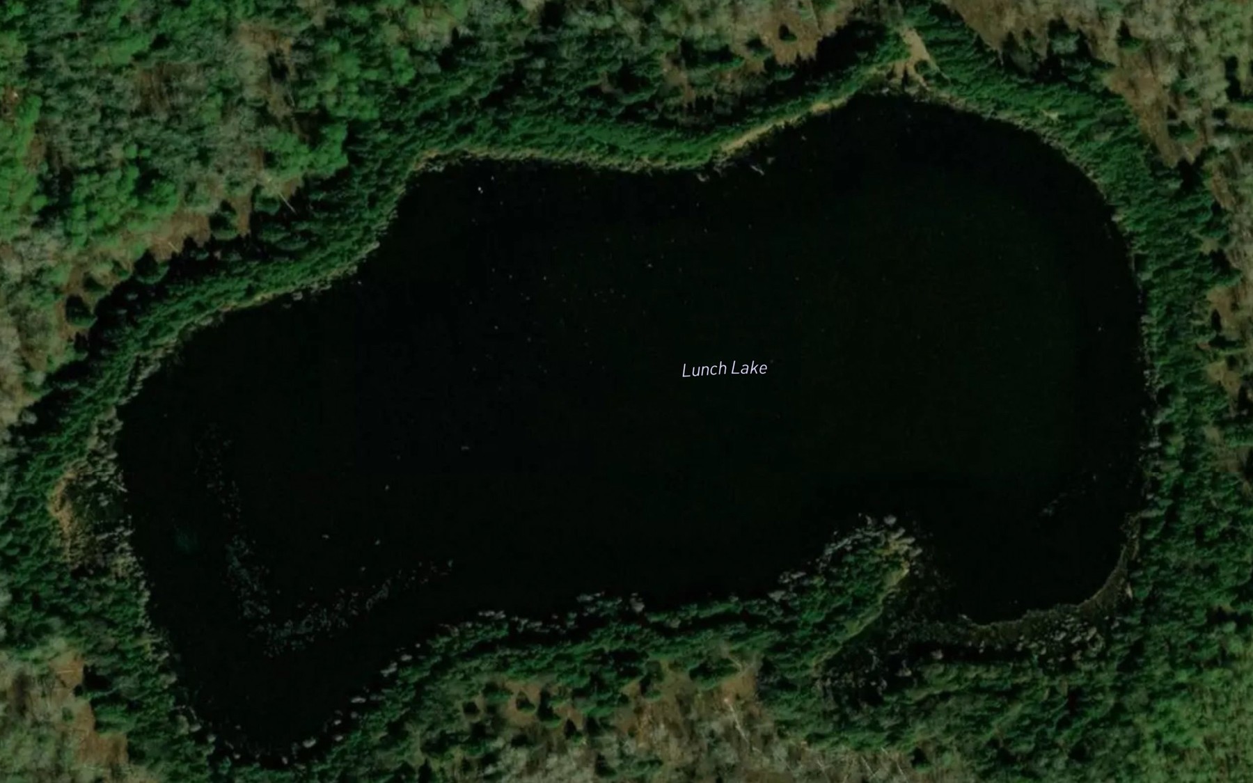 Satellite map of the Lunch Lake