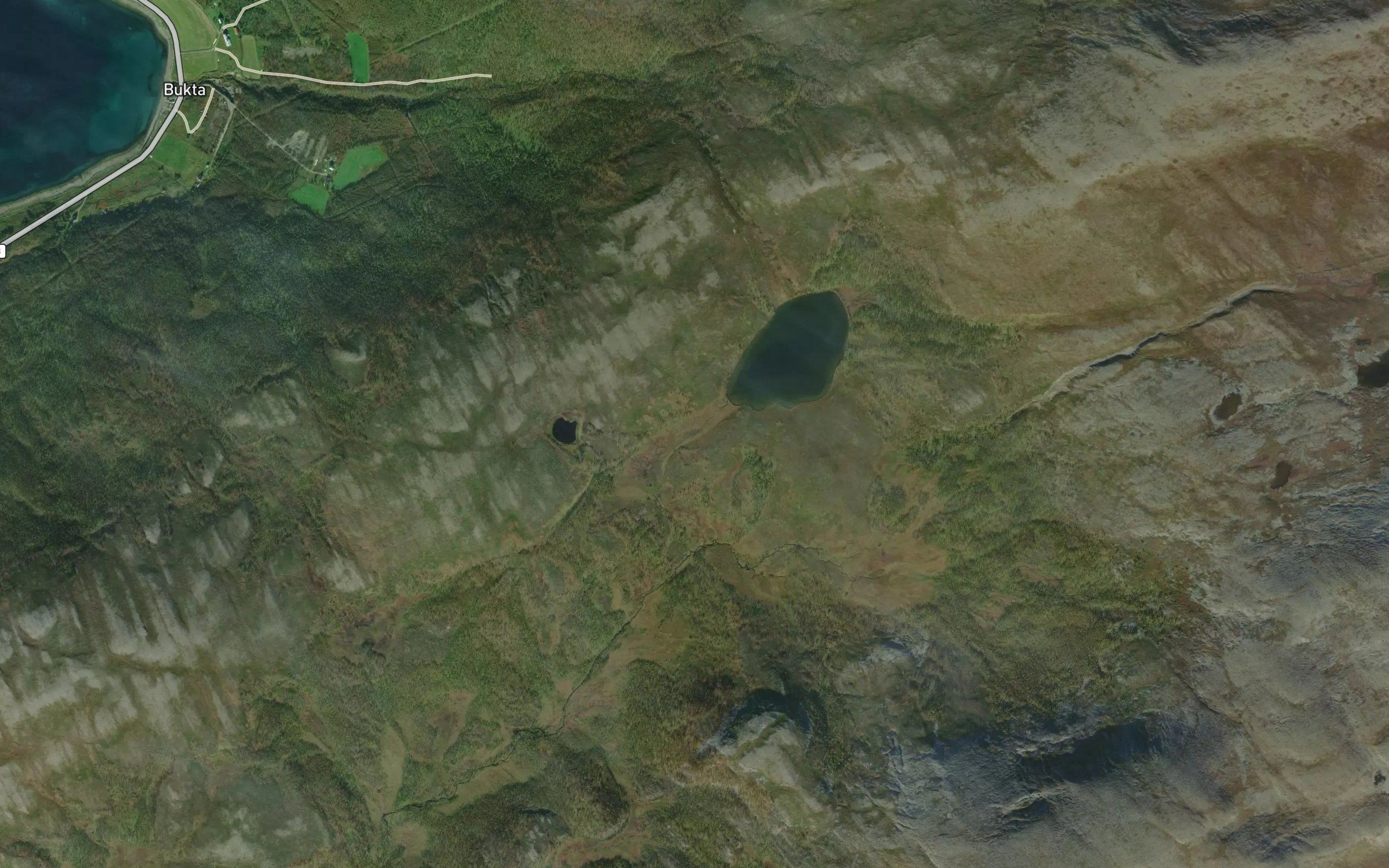 Buktavasselva