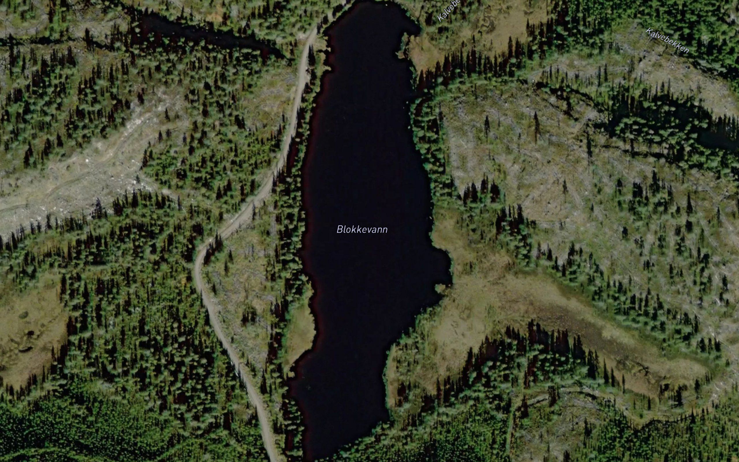 Blokkevatn
