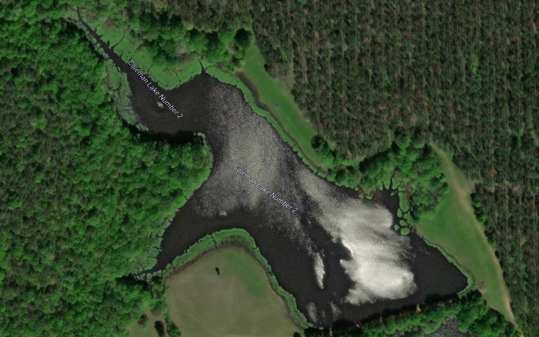 Satellite map of the Coleman Lakes