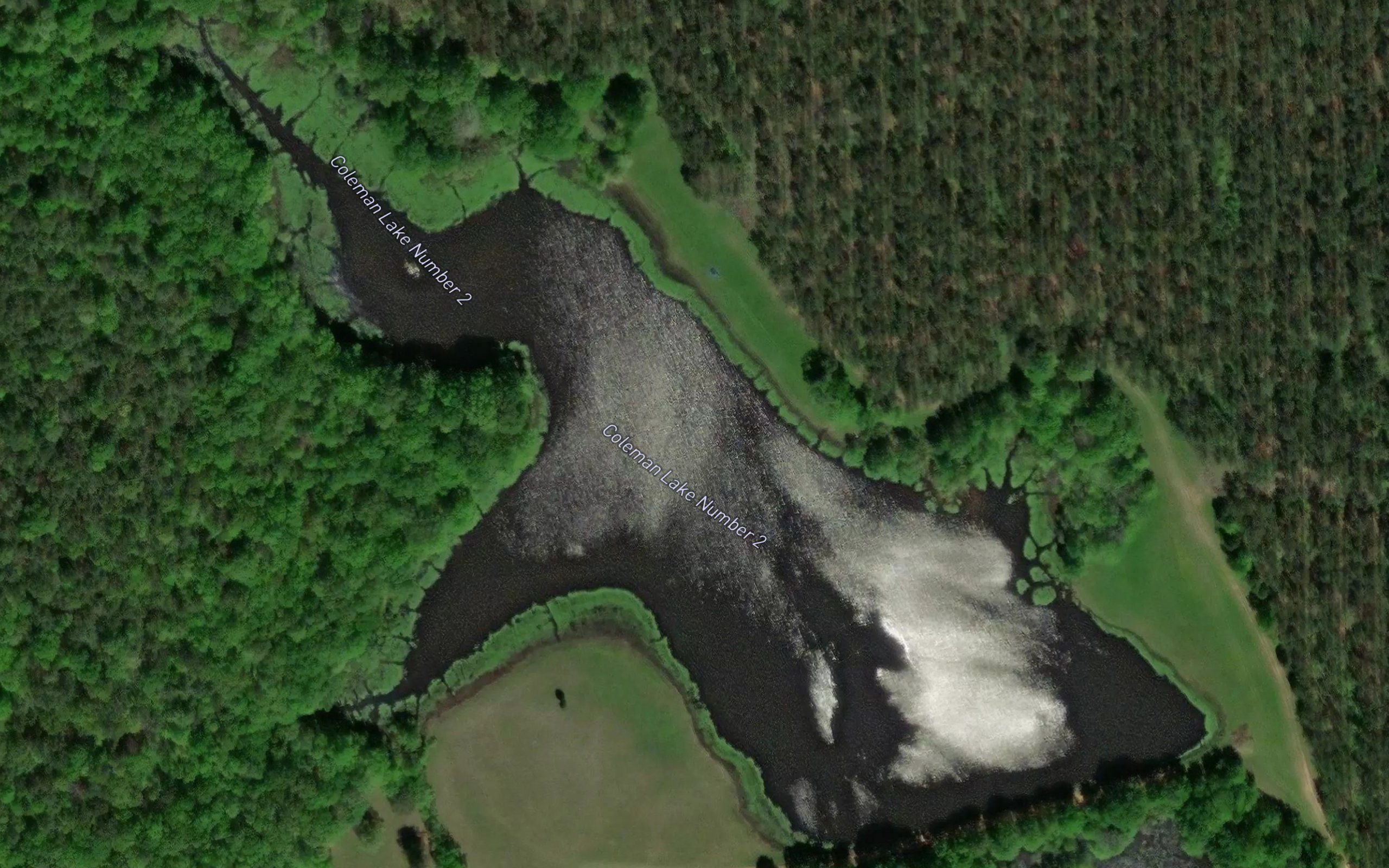 Coleman Lakes