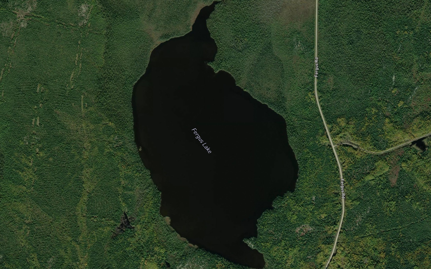 Satellite map of the Fergus Lake