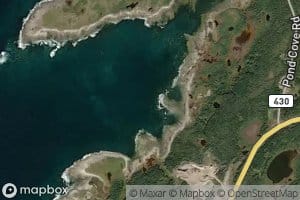 Seal Cove