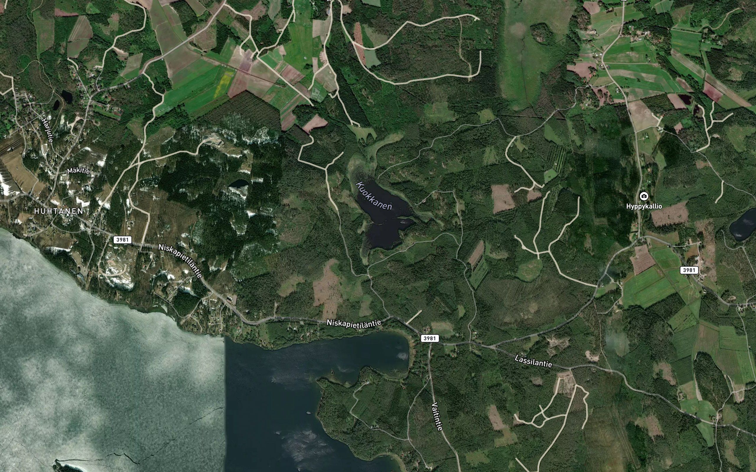 Viielianlahti