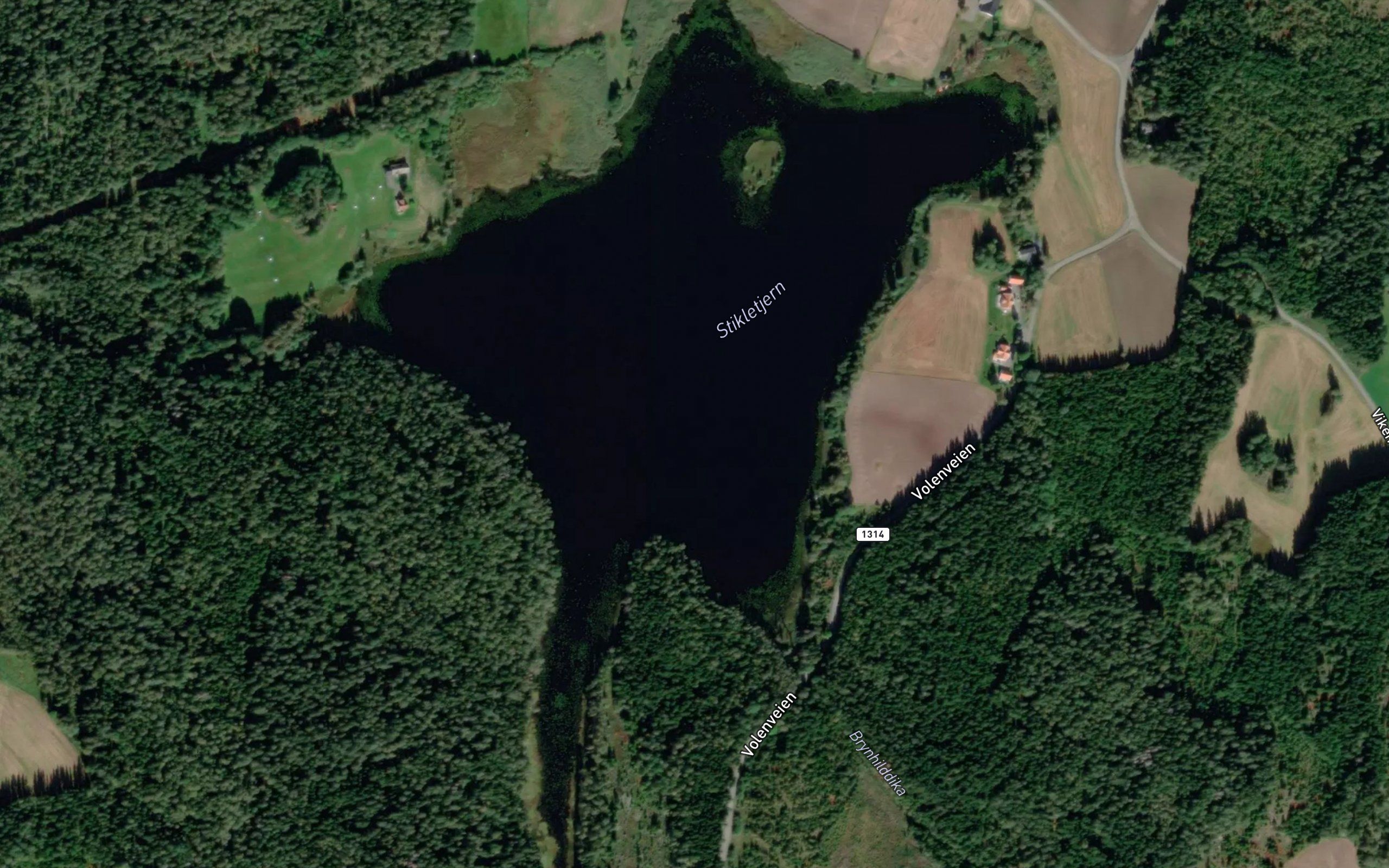 Stikletjern