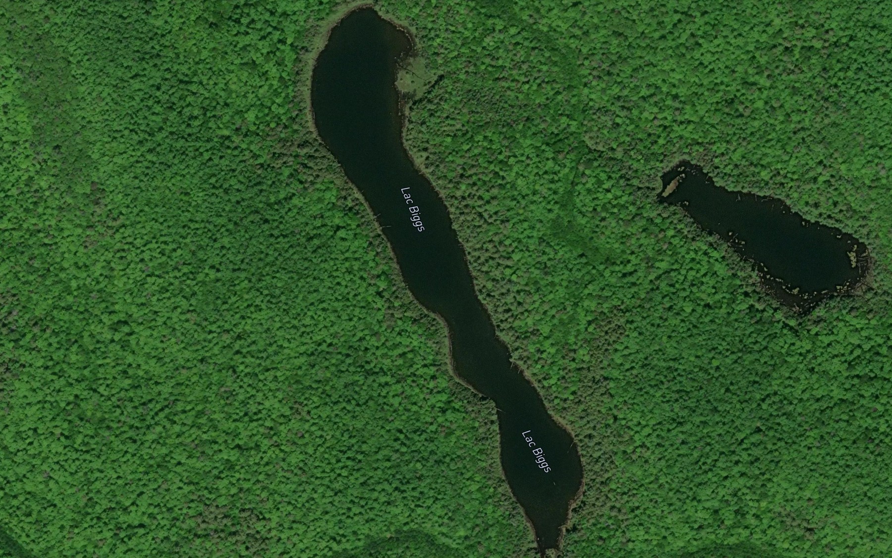 Satellite map of the Lac Biggs