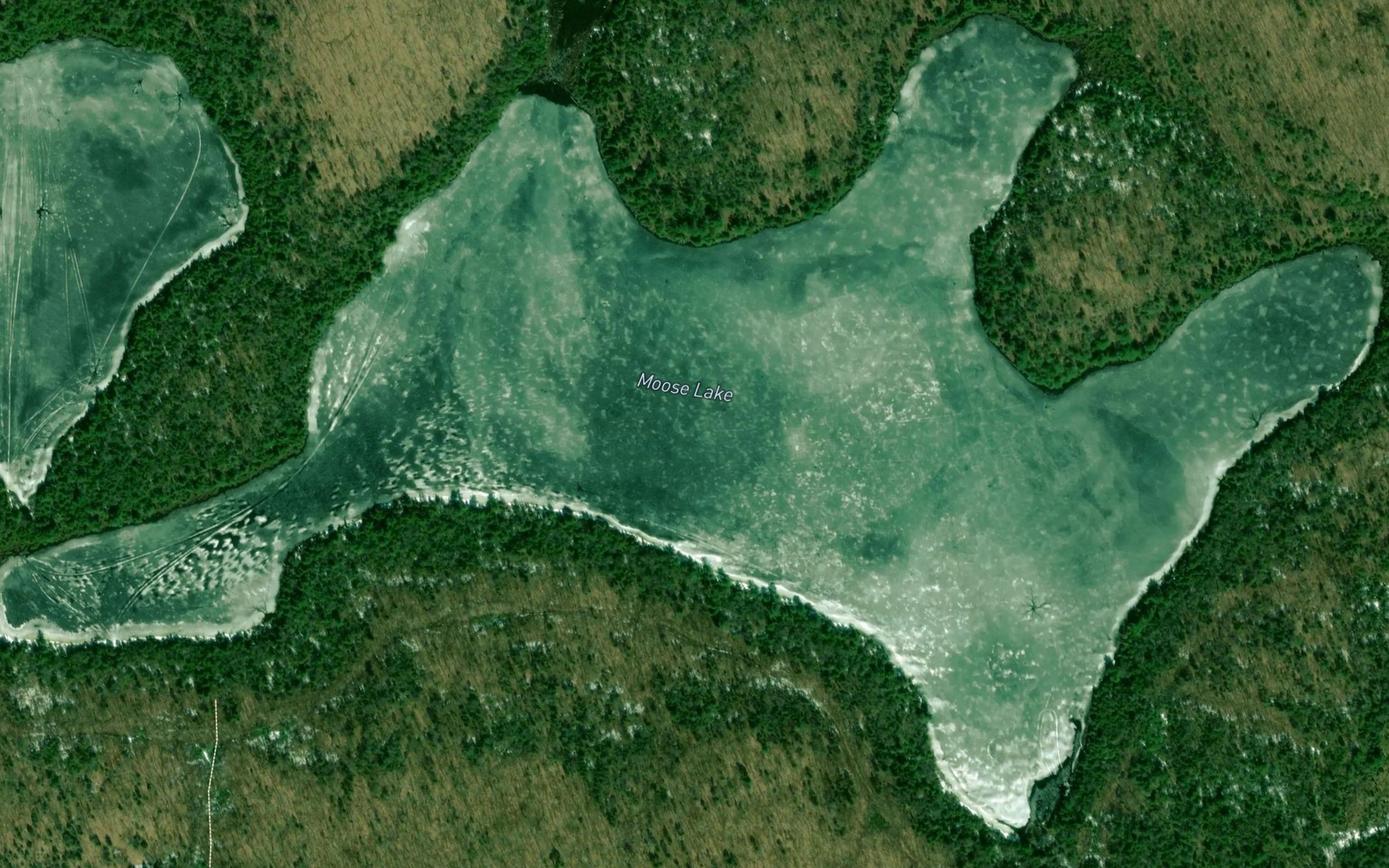 Satellite map of the Moose Lake