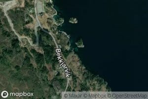 Bukkevika