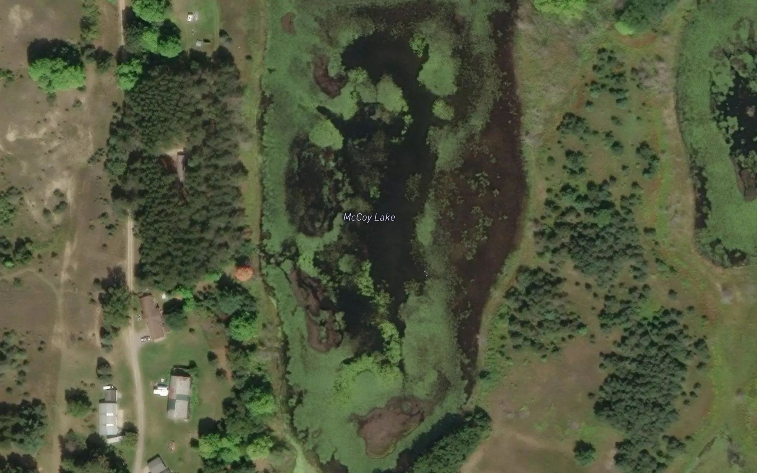 McCoy Lake